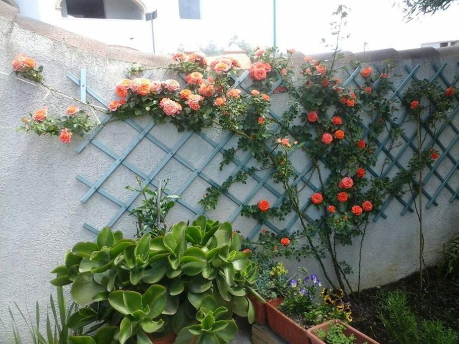 奥罗塞伊Gollai House公寓 外观 照片